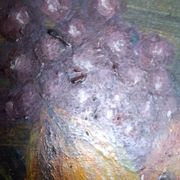 Still life painting