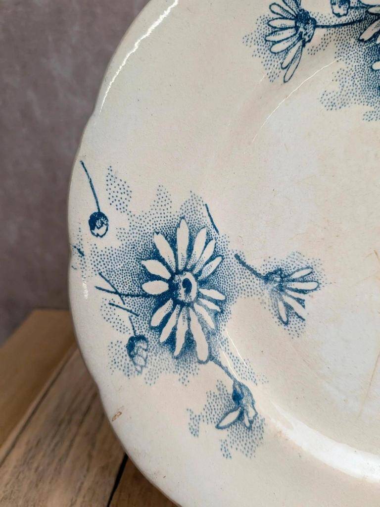 Marguerite ironstone dessert plate – Nouvelle Givors pottery