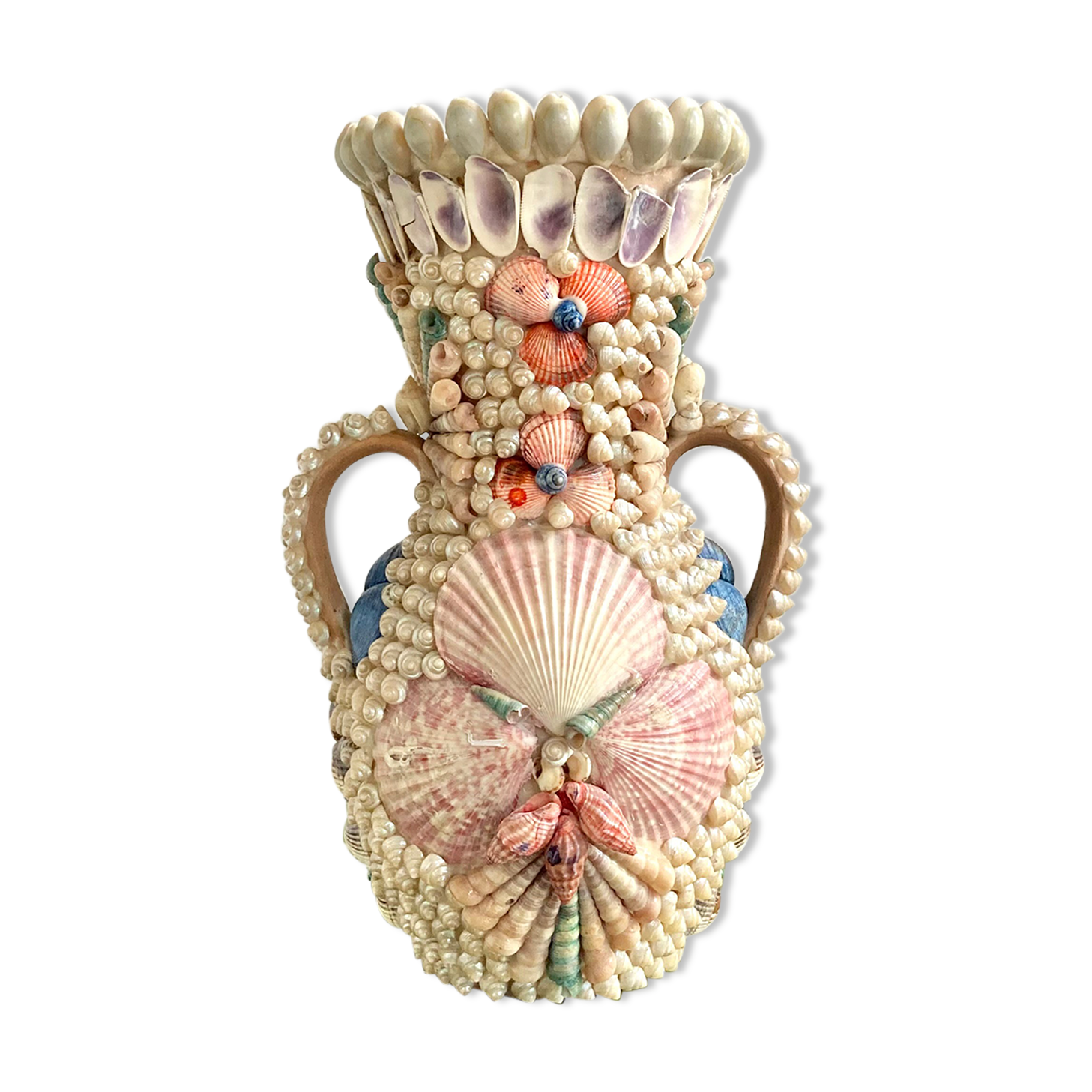 Vase shells