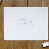 Madeleines, dessin original