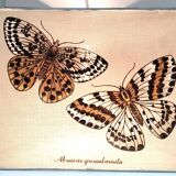 90s fabric butterfly suspension