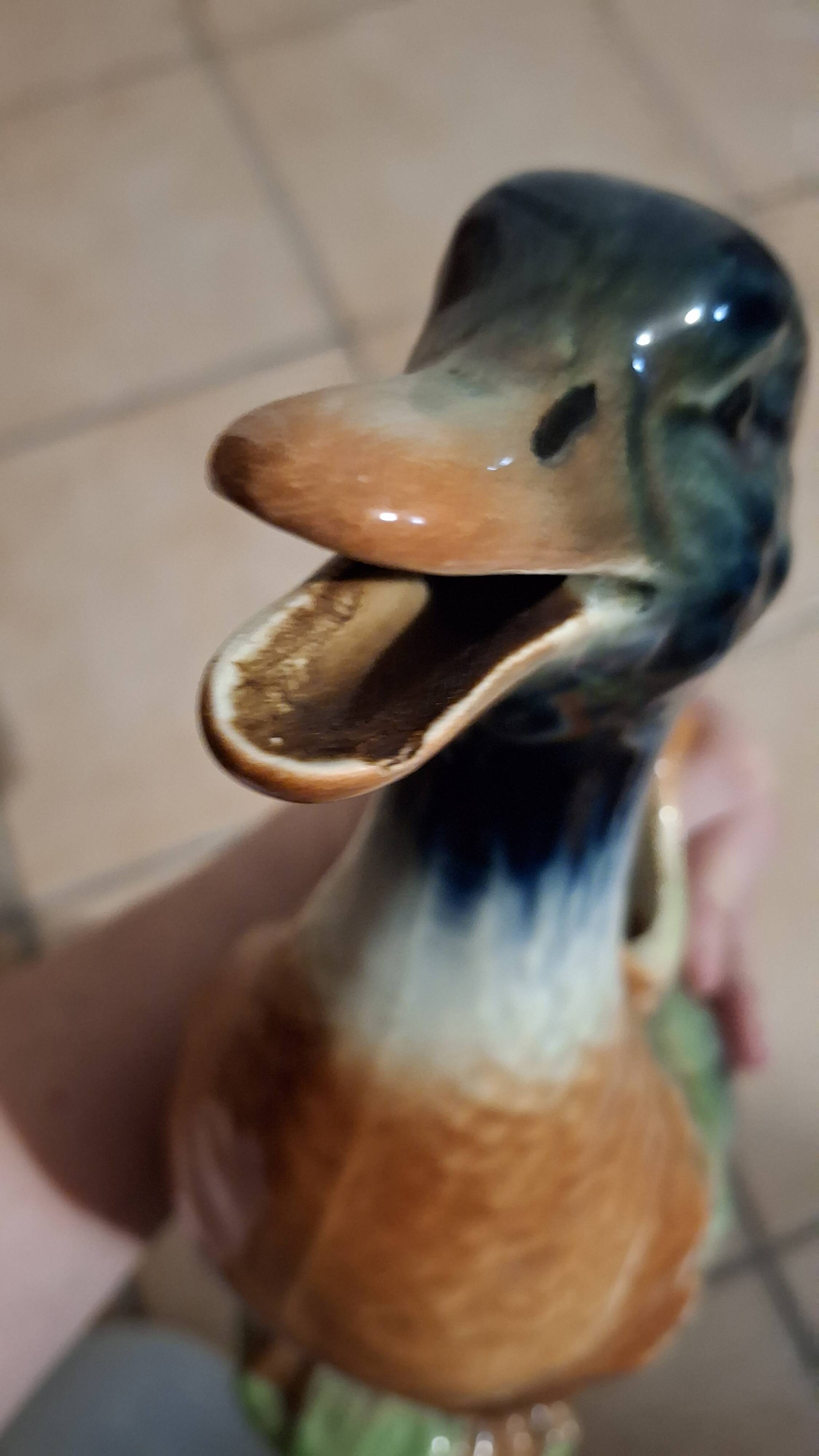 Canard Saint Clément