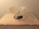 Crystal presentation dish