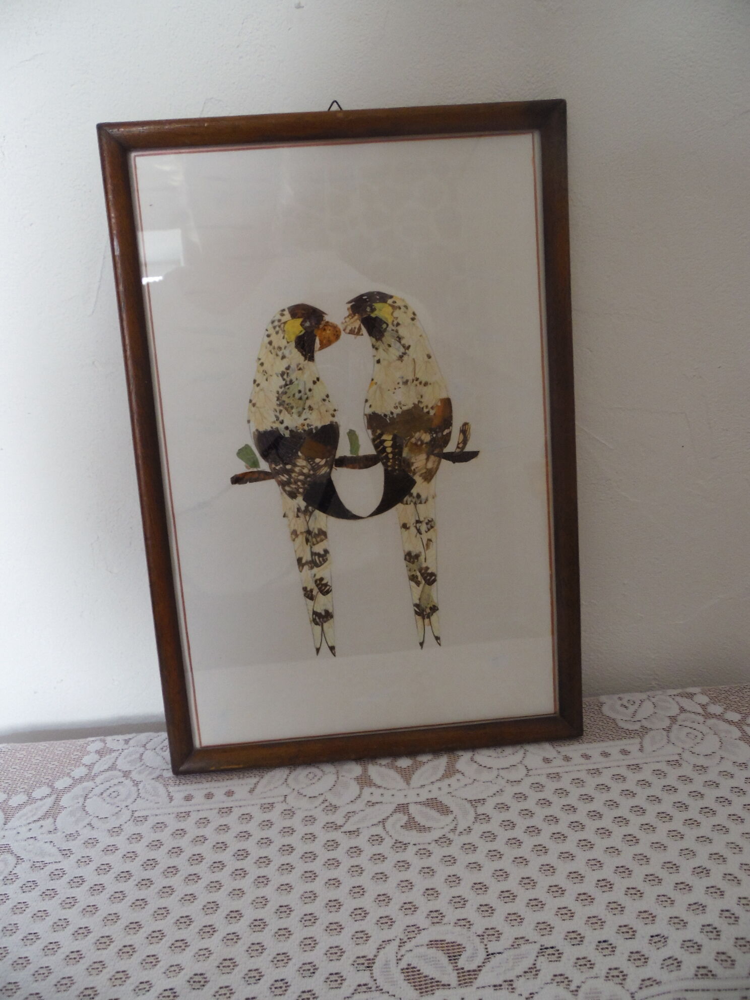 Bird-couple frame in butterfly wings
