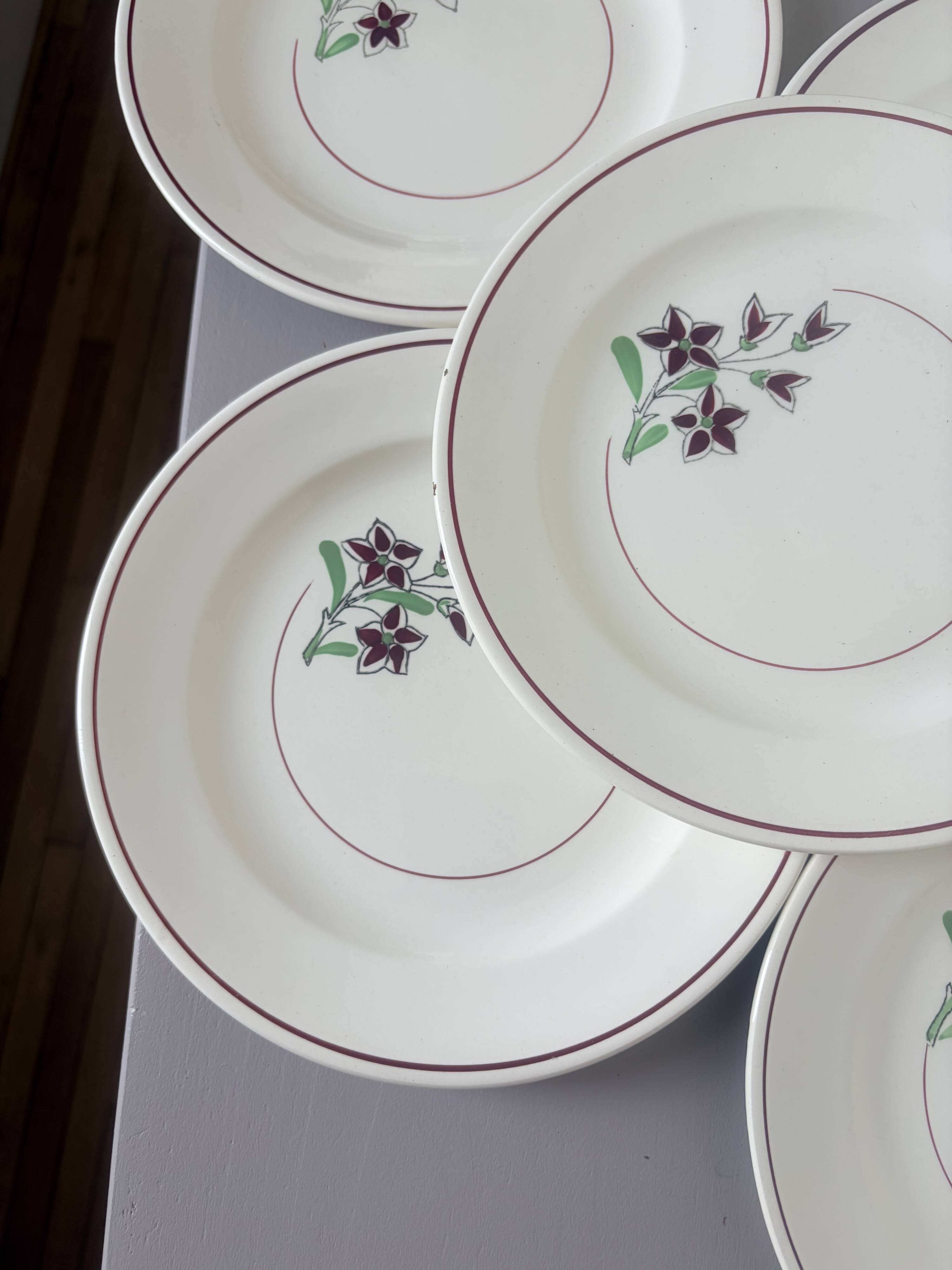 5 flat plates from Salins 210646