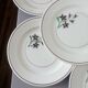 5 flat plates from Salins 210646