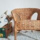 Children's chair in natural fibers
