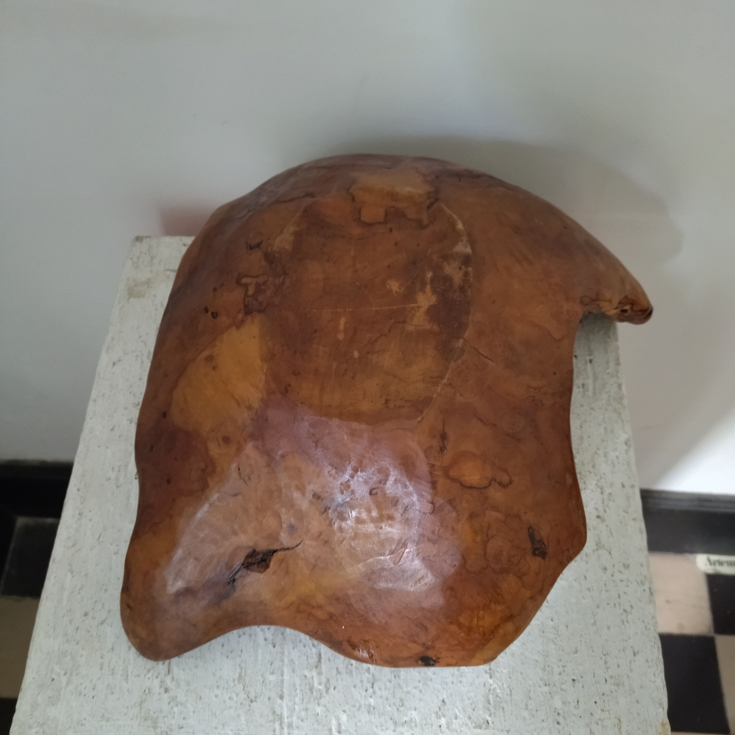 Brutalist monoxyl wood cutting 50s