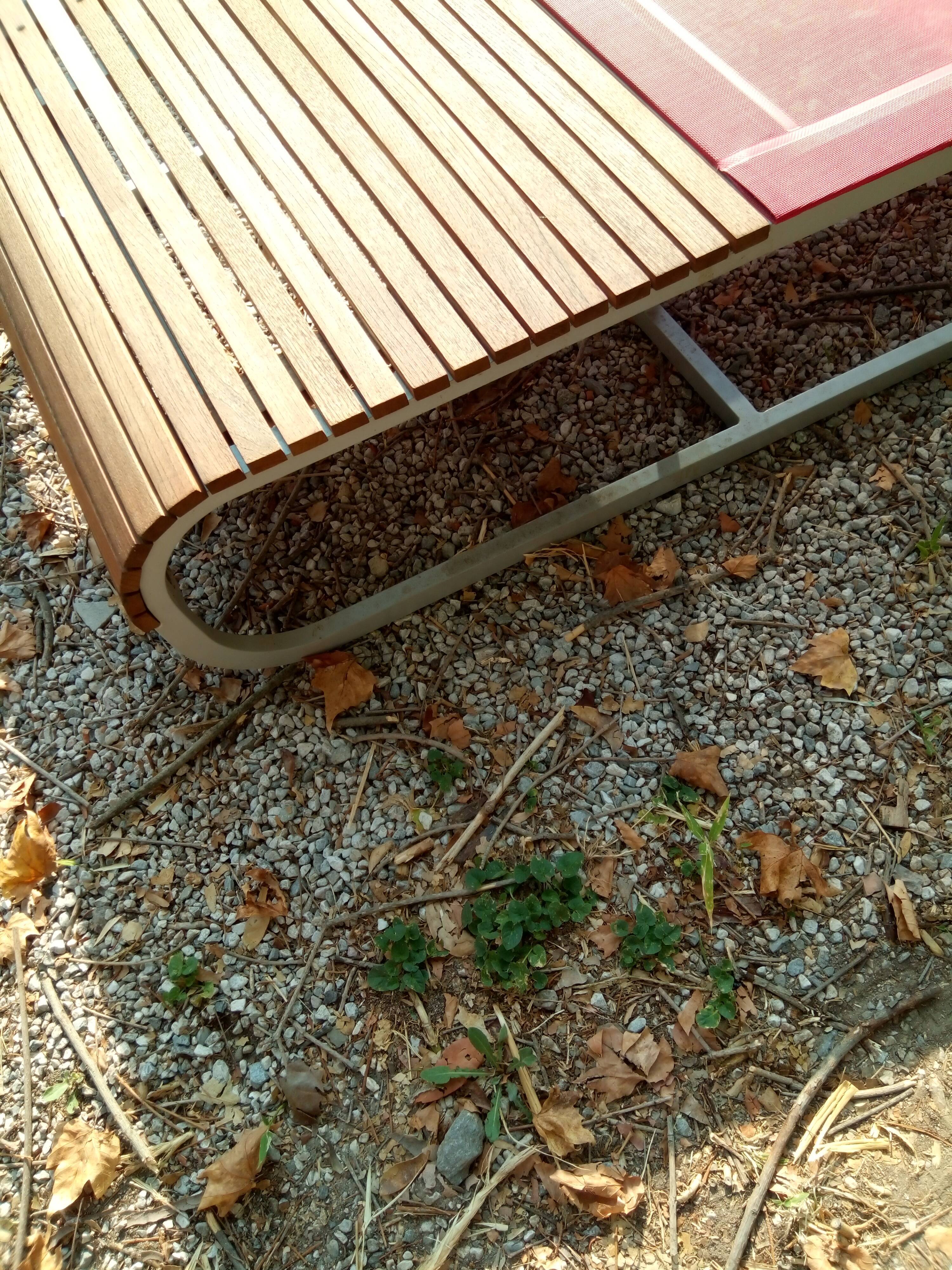 Sunbathing Tandem by Thomas Sauvage