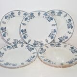 Set of 5 flat plates in Sarreguemines earthenware model Decor 1900, iron earth