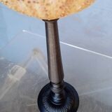 Sea urchin cabinet of curiosities on base