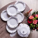 Gien flower service: 6 plates + 1 tureen