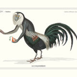 Chimera lithograph animal engraving - the coquandérou