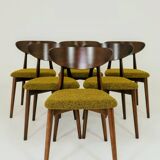 Set of 6 Modern Beech Wood Dining Chair, Yellow Bouclè, Dark Wood