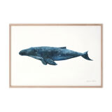 "Hélène", the whale, art print 21/29.7 cm