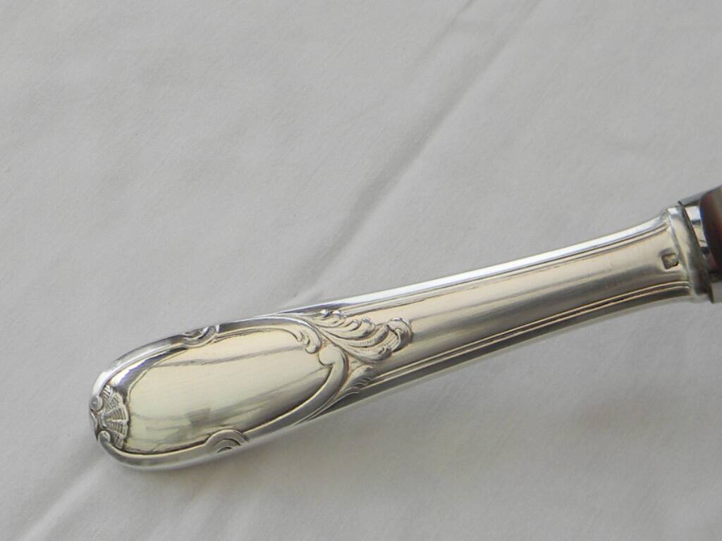 Set of 12 knives silver metal handle stainless steel blade G. VIVIER.