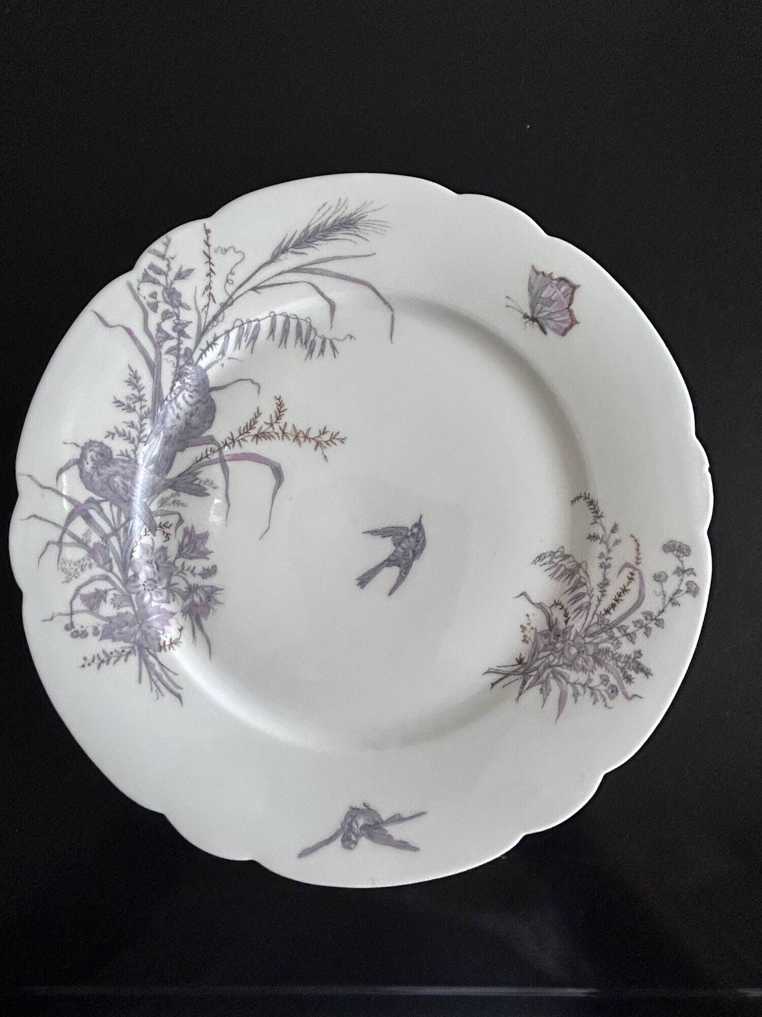 8 porcelain plates and 1 dish CH Pillivuyt & Cie