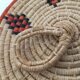 African lidbox and raffia cockroaches