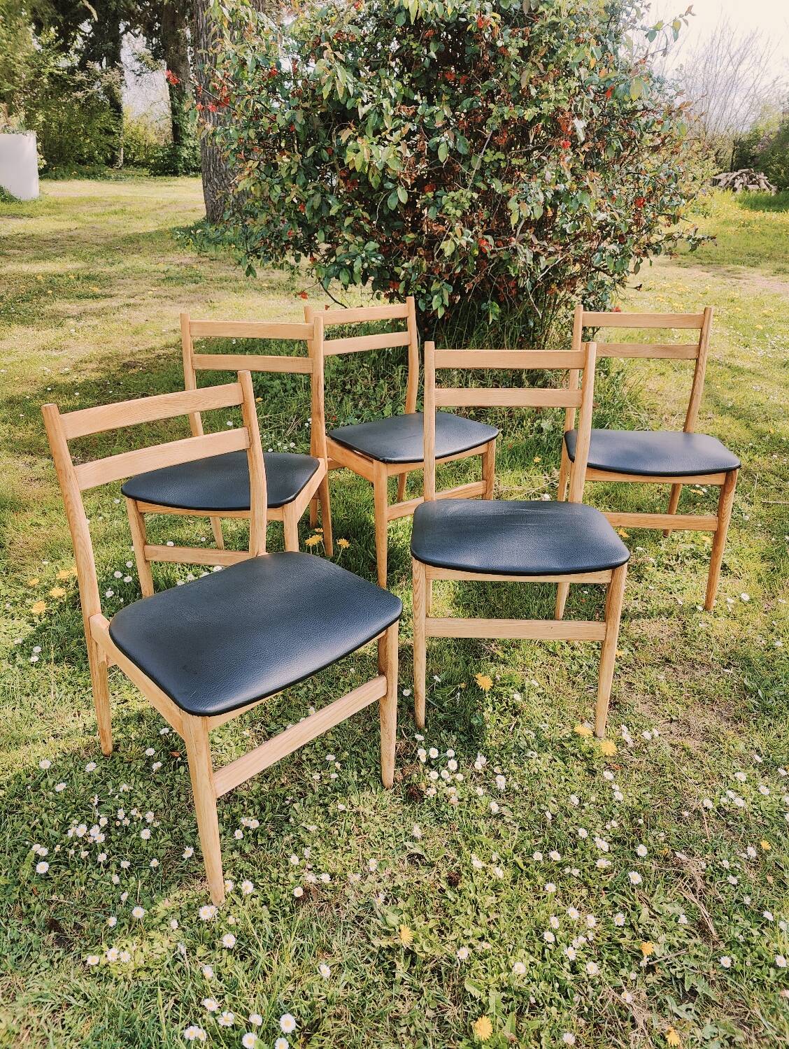 Set of 5 Scandinavian chairs