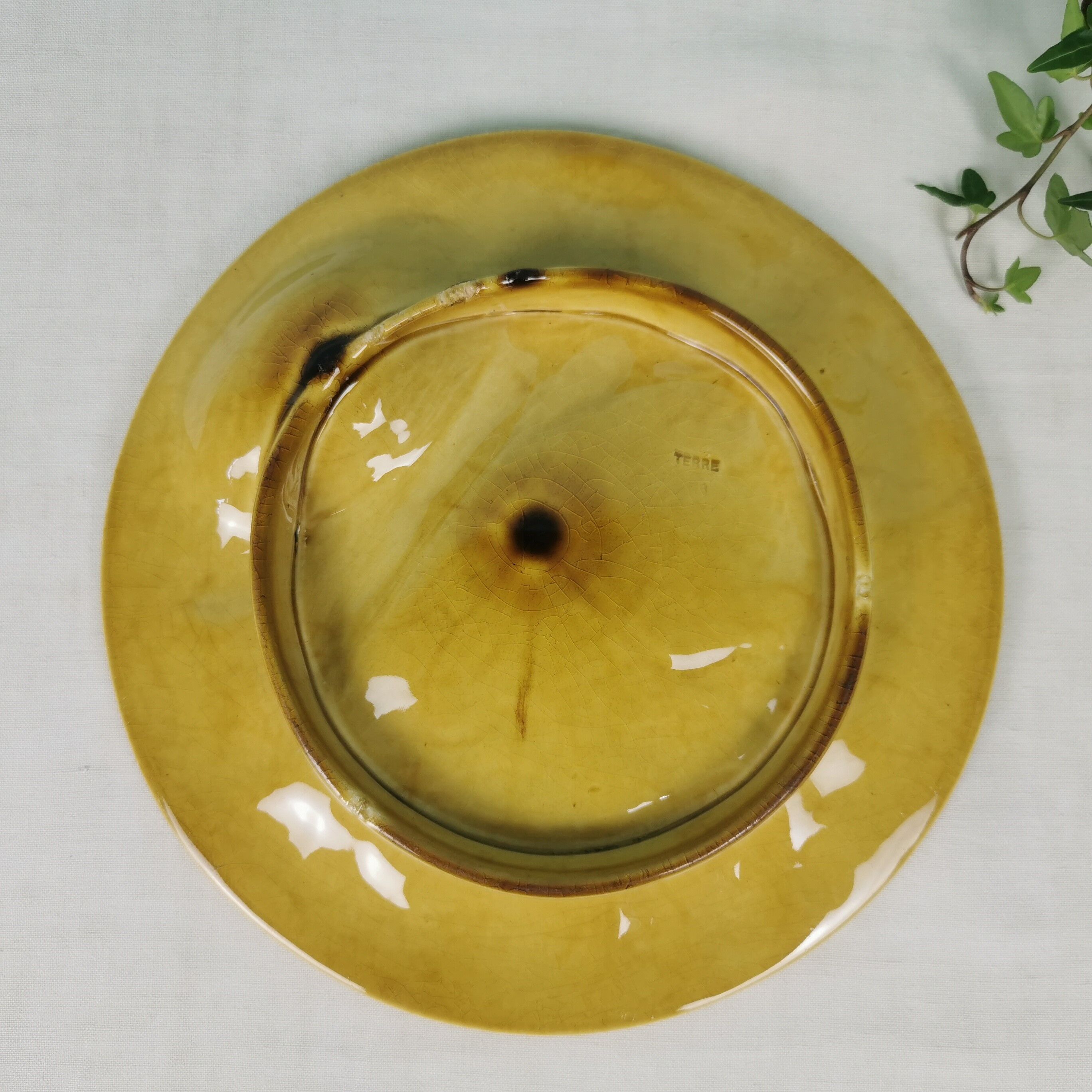 Asparagus plates Iron Earth