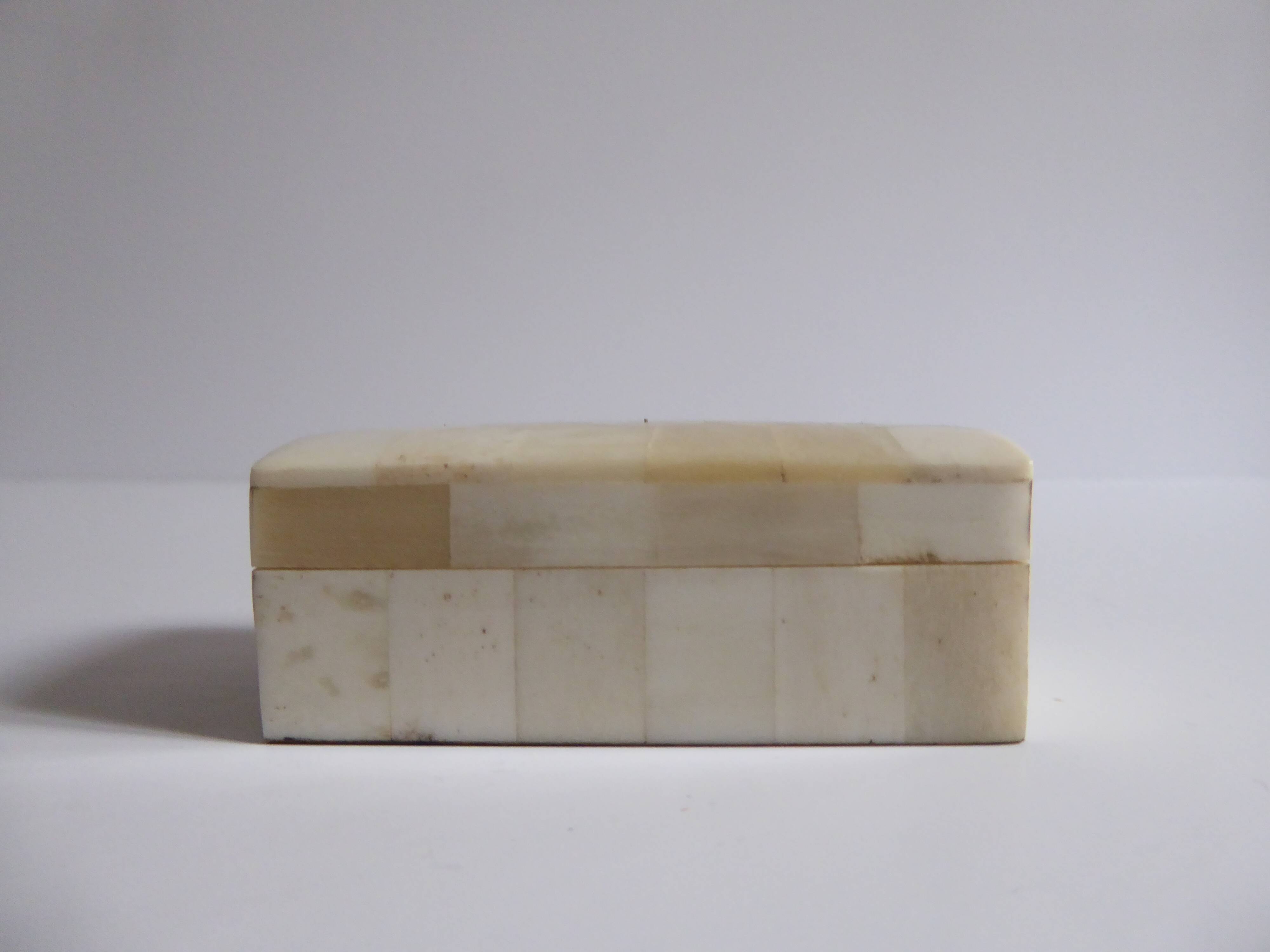 Rectangular box in white horn and wood