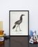 Lithographie gravure chimère animal - le cariapocampe
