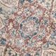 7x11 Vintage Soft Red & Blue Vintage Area Rug, 205x344 Cm