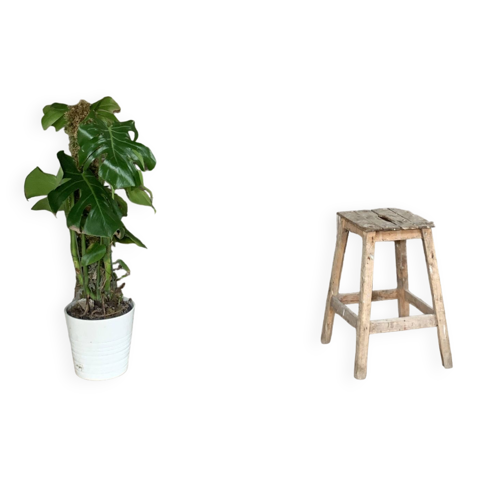 Vintage louvered slat screen