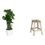 Vintage louvered slat screen