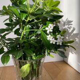 Vase Val Saint Lambert