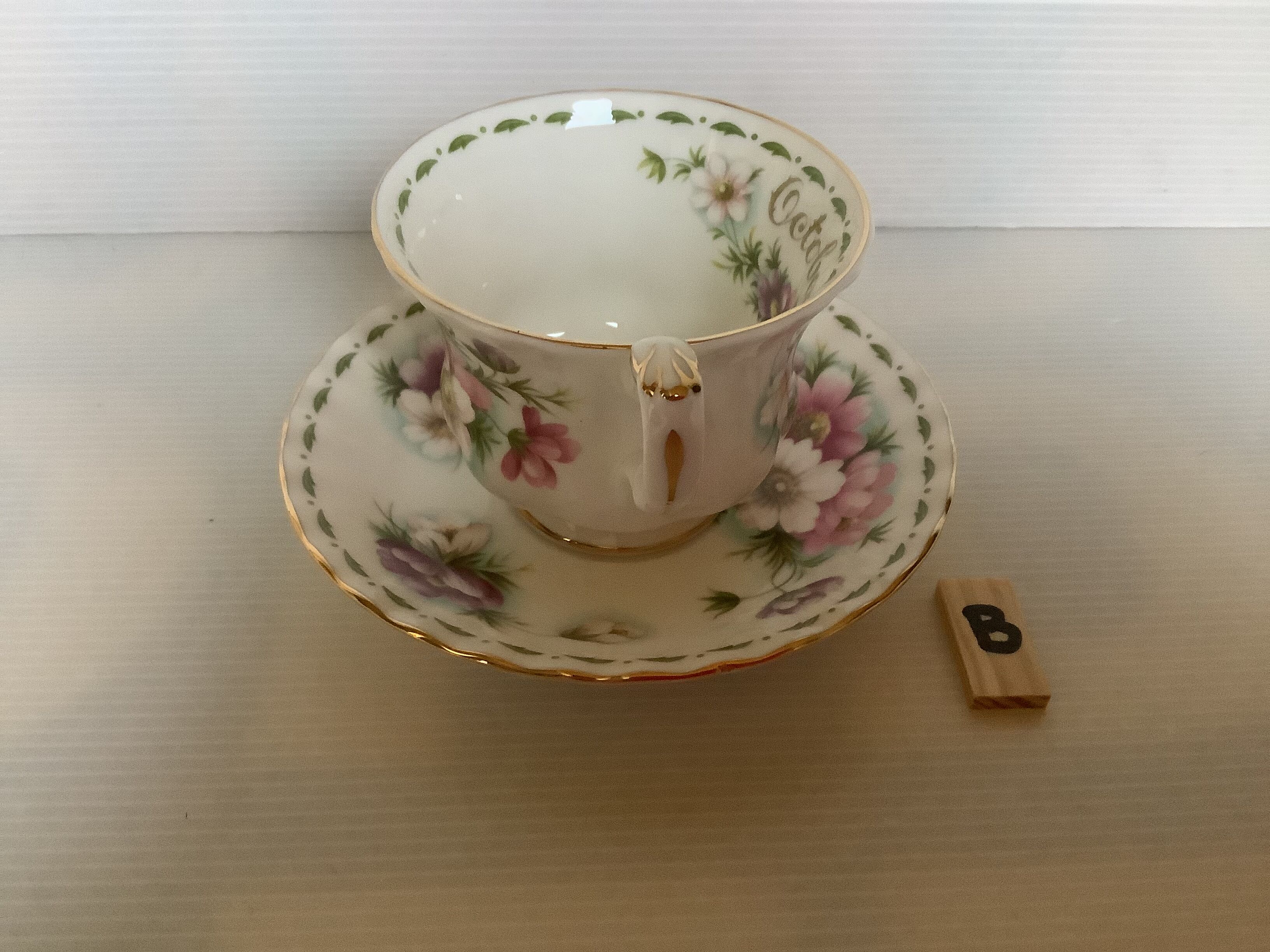 Cosmos Cup October Royal Albert