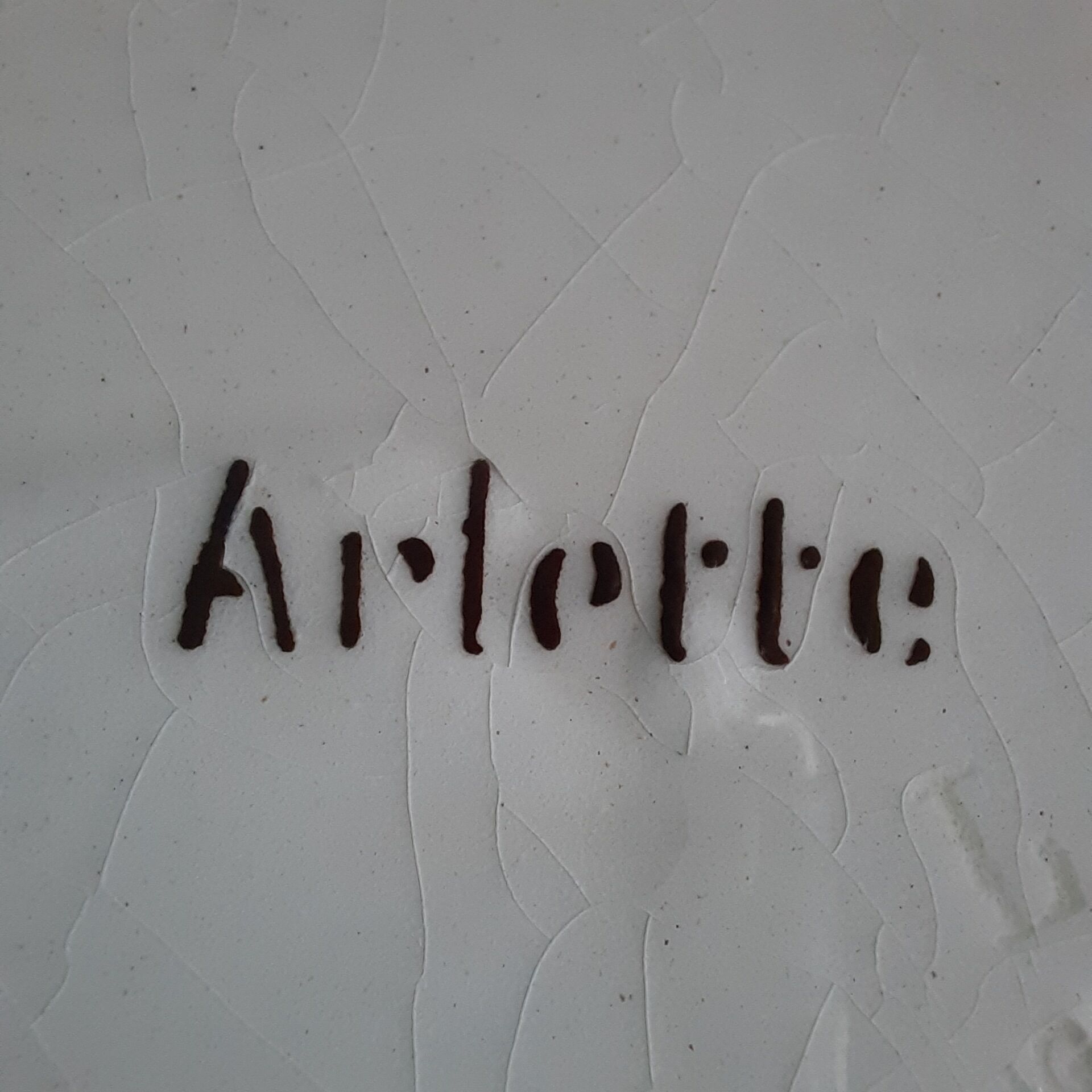 6 very old plates U&C Sarreguemines Model Arlette year 1960 hand painted earth