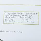 François delaroziere, l'araignée géante, 2008. original lithograph on rives paper. signed