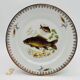 6 Limoges porcelain plates, fish pattern.