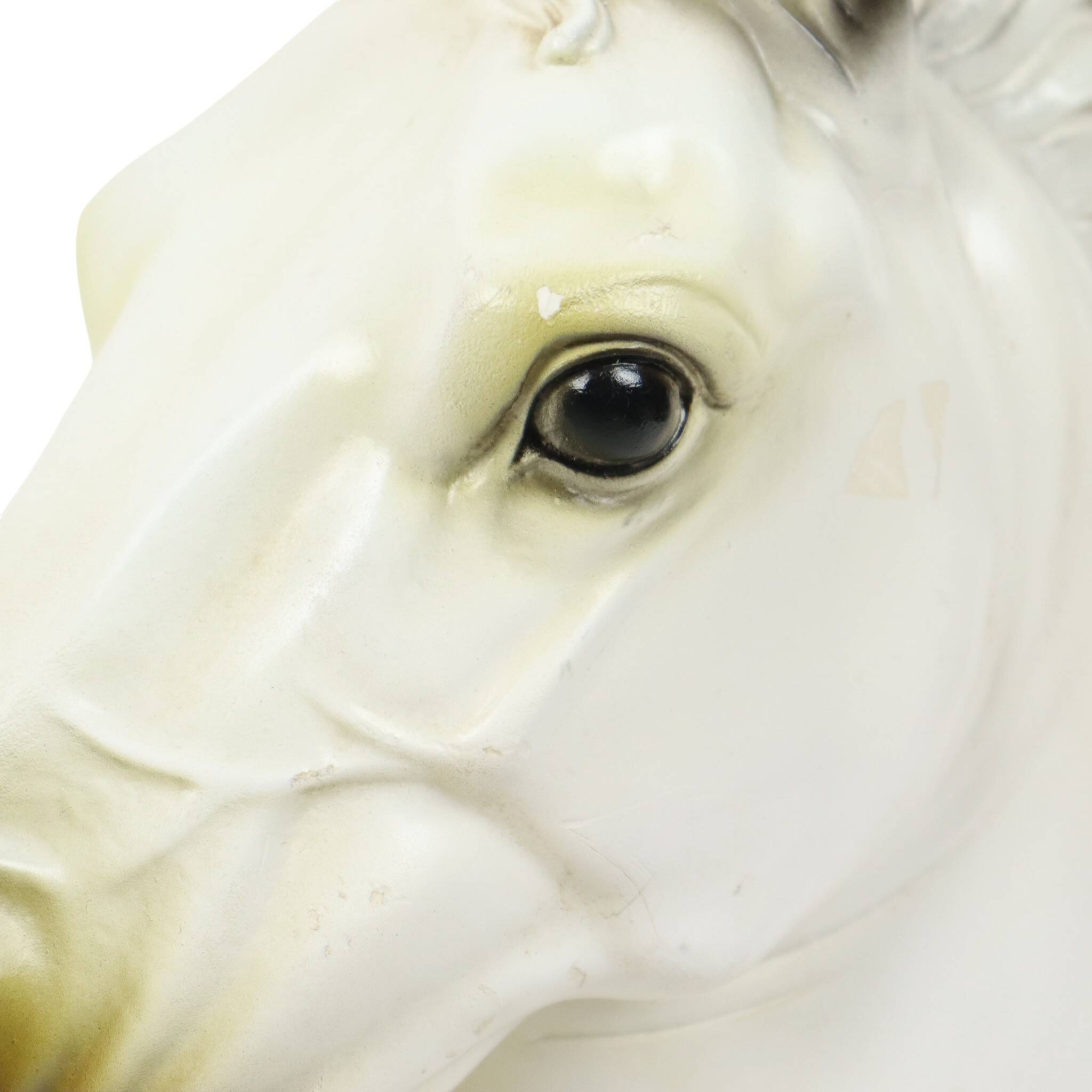 Large Classical Bust Parthenon Horse Greek Style Plaster 39cm