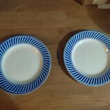 Flat plates Digoin Jacquot flowers