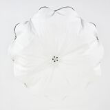 “Celestia” ceiling light by Tobia Scarpa for Flos, 1980