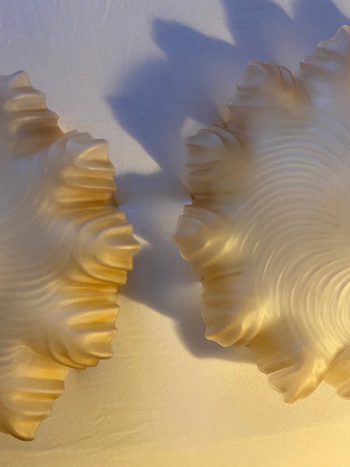 Pair of amber pendant lights