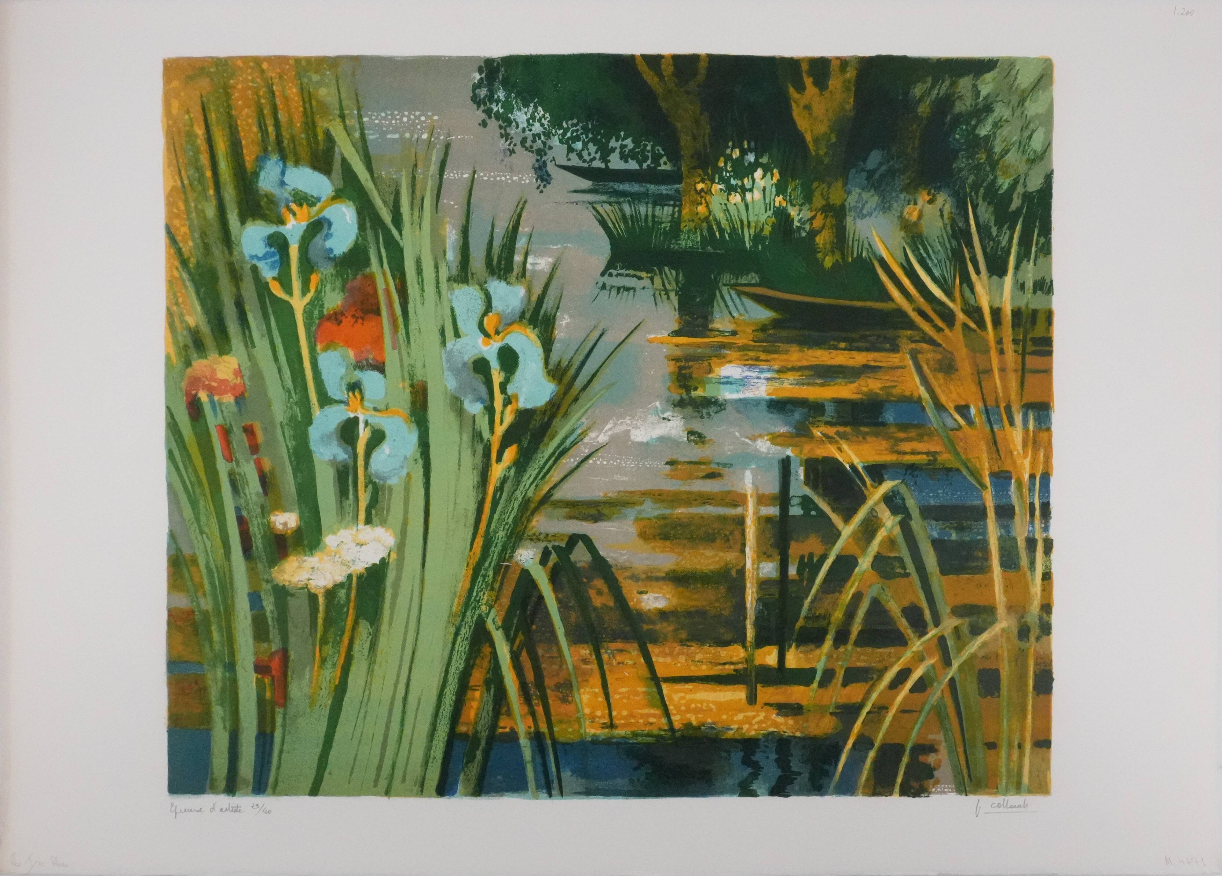 Paul collomb : les iris bleues, lithographie originale signée