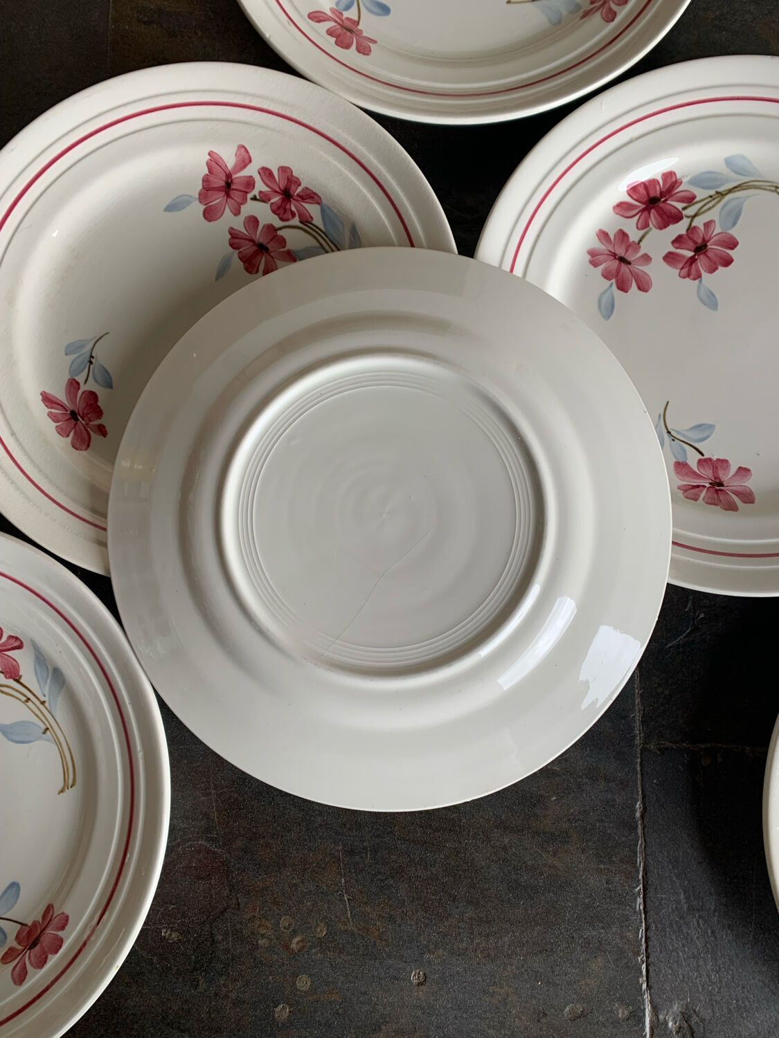 6 vintage floral ceramic dinner plates – retro country style