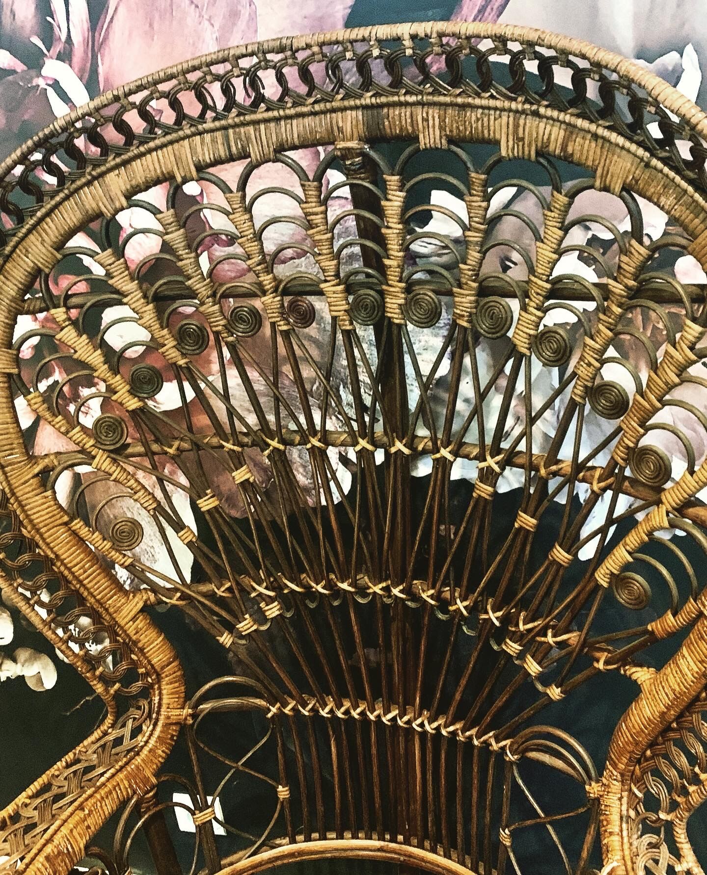 Fauteuil Emmanuelle Peacock