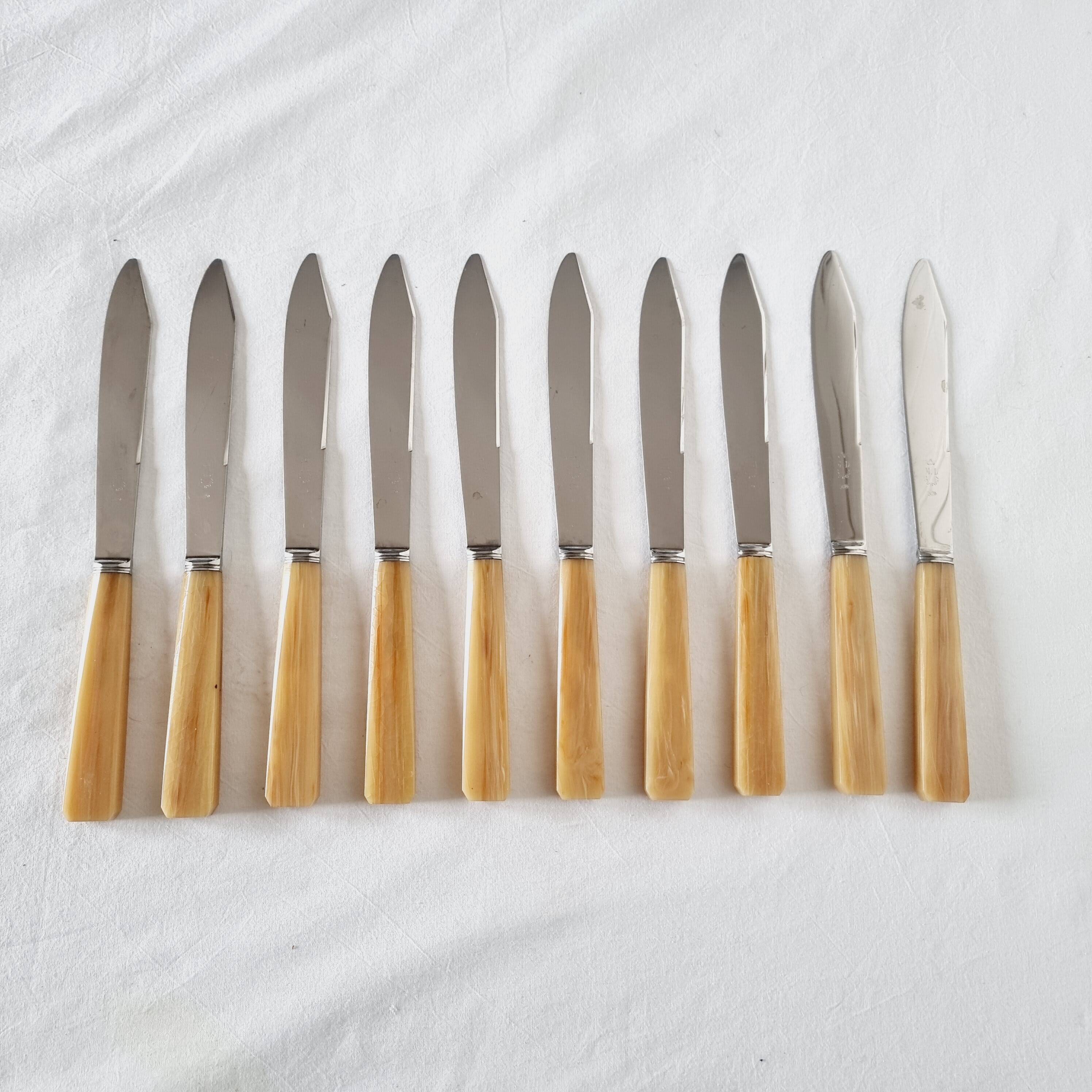 10 table or lunch knives in stainless steel and Messina from the 70s New