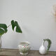 White ceramic pot cache in old flower slip