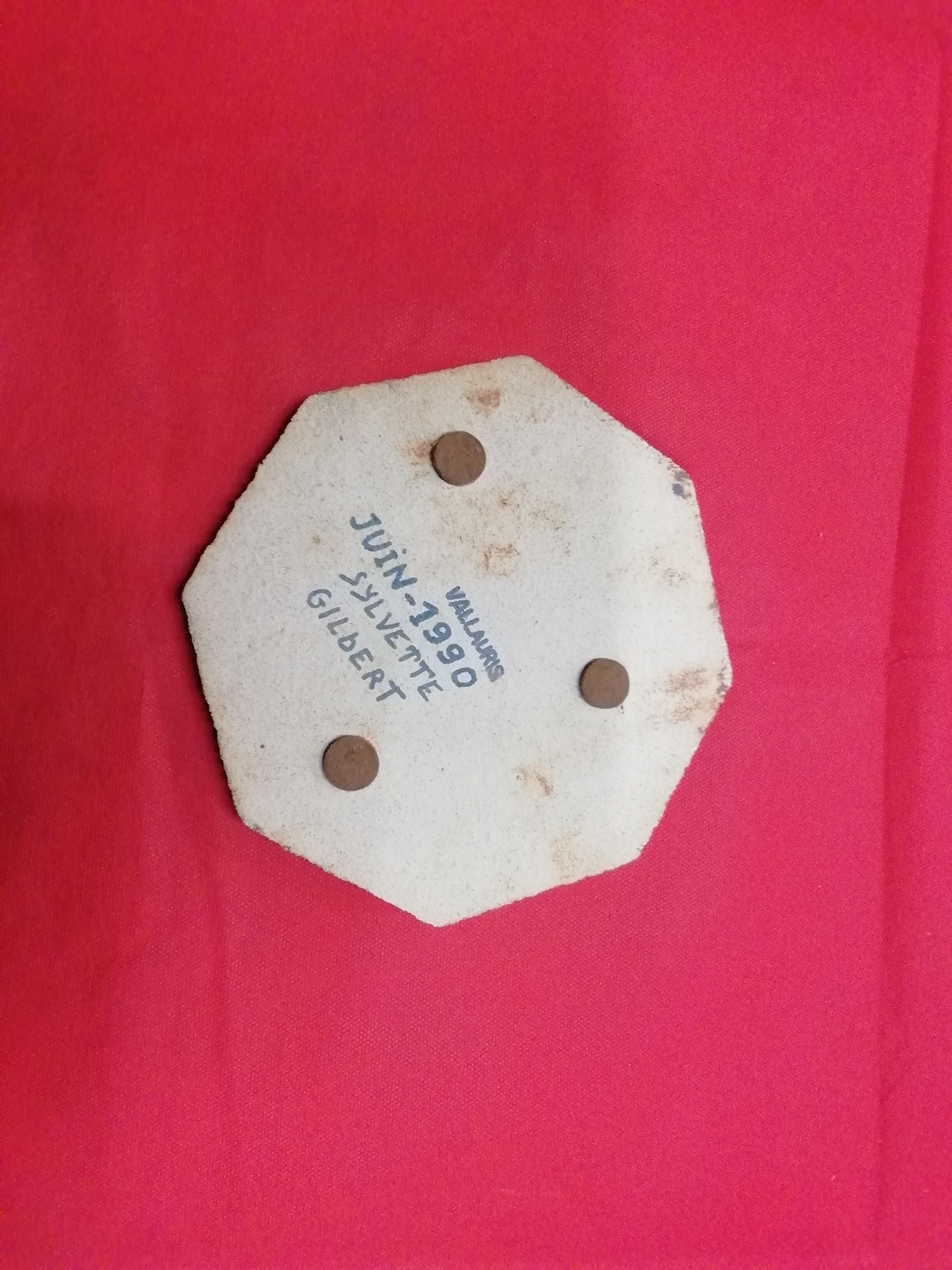 Vallauris flat pose Sylvette Gilbert