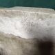 Vintage fibreglass planter – modernist design – Willy Guhl style