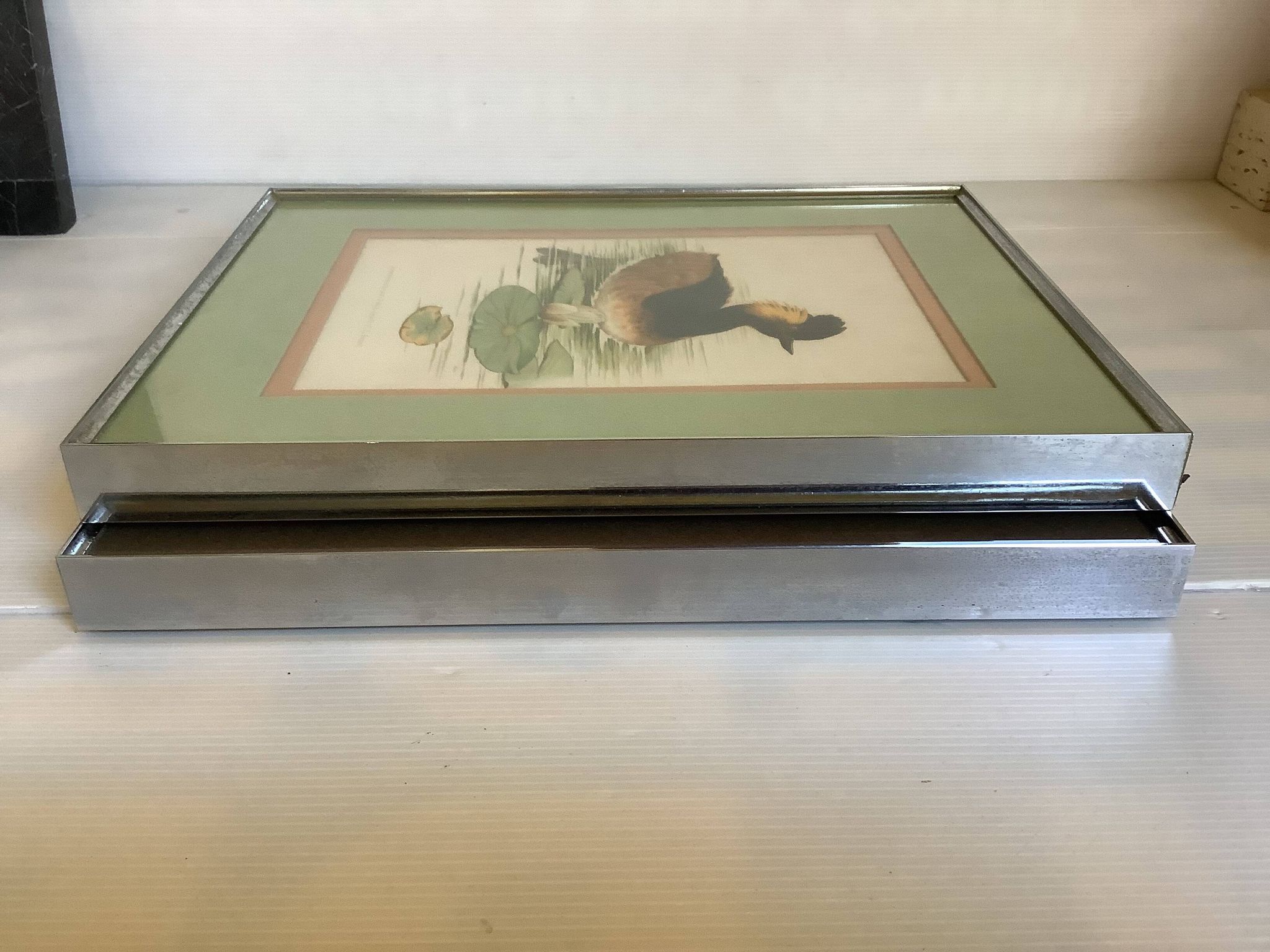 Pair of framed bird illustrations