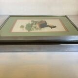 Pair of framed bird illustrations