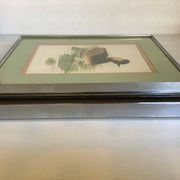 Pair of framed bird illustrations