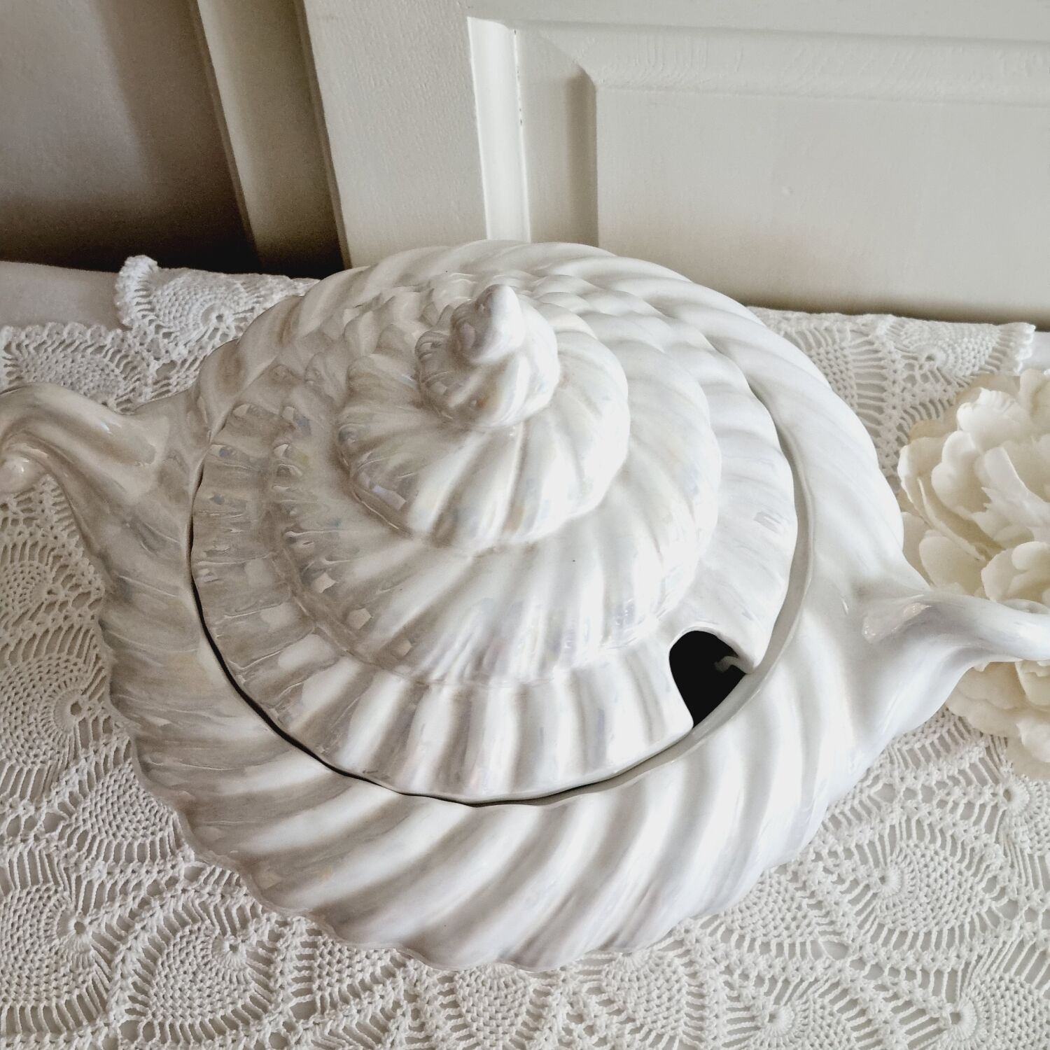 Shell tureen in slurry Portugal
