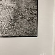 Photographie argentique d'artiste